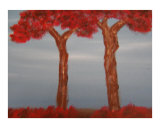 Autumn Color
