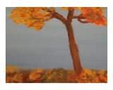 The Color of Autumn