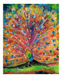 Peacock  2