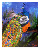 Peacock  3