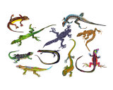 Lizards and Geckos