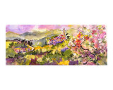 Legnaro - South Liguria - Italy W60729