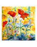 Poppies