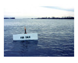 Flooded Lot For Sale!