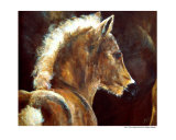 Foal