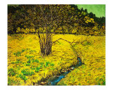 The coming spring