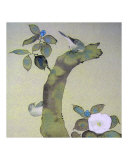 Asian Spring Bloom Courtship