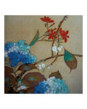 Asian Hydrangea Bloom