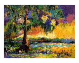 Okefenokee Sunset - Georgia Landscape