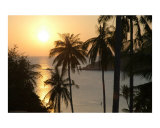 Island Paradise