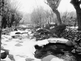 Snow Fallen Around Stream