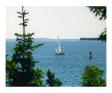 Sailboat at Arcadia Park  Maine  Atlantic Ocean