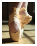 Pointe Well Taken