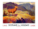 Scotland for Holidays