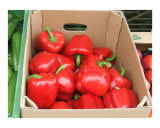Bountiful Harvest