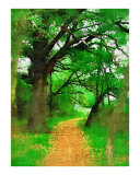 Pathway to Nowhere