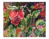 Winter Rose