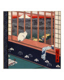 Japanese Bobtail Cat  Mount Fuji