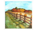 Fall Pumpkins