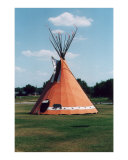 Tipi