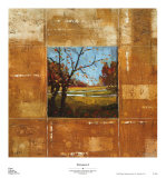 Terranova I