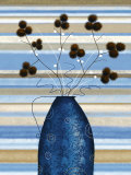 Study of Mimosa in Blue