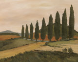 Shady Tuscan Road