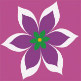 Purple Flower