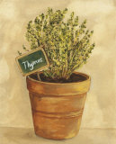 Thymus