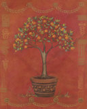 Topiary Fresco Orange