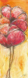 Corn Poppy III