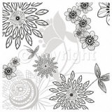 White Shadow  Lace