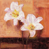 Bright Lilies