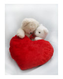 Valentine Teddy Bears