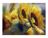 Sun Flower