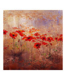 Field Poppies 2