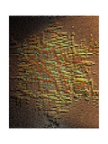 Colorwall