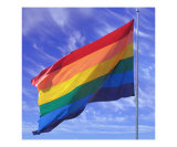 San Francisco Harvy Milk Plaza Gay Flag