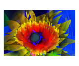 Underwater flower