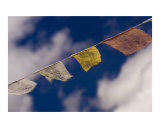 Scenic view of colourful Buddhist prayer flags  in Himalaya  Ladakh