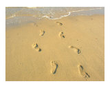 Footprints - Provincetown  Massachusetts