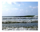 The ocean at my feet