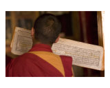 Tibetan Buddhist monk praying and reciting from ancient holy script