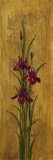 Iris of Delos II
