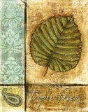 Ocean Breeze III