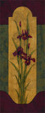 Greek Iris I