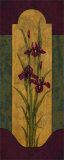 Greek Iris I
