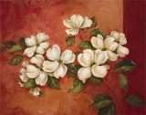 Dogwoods