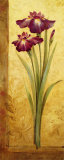 Grandiflora I