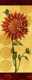 Dahlia IV